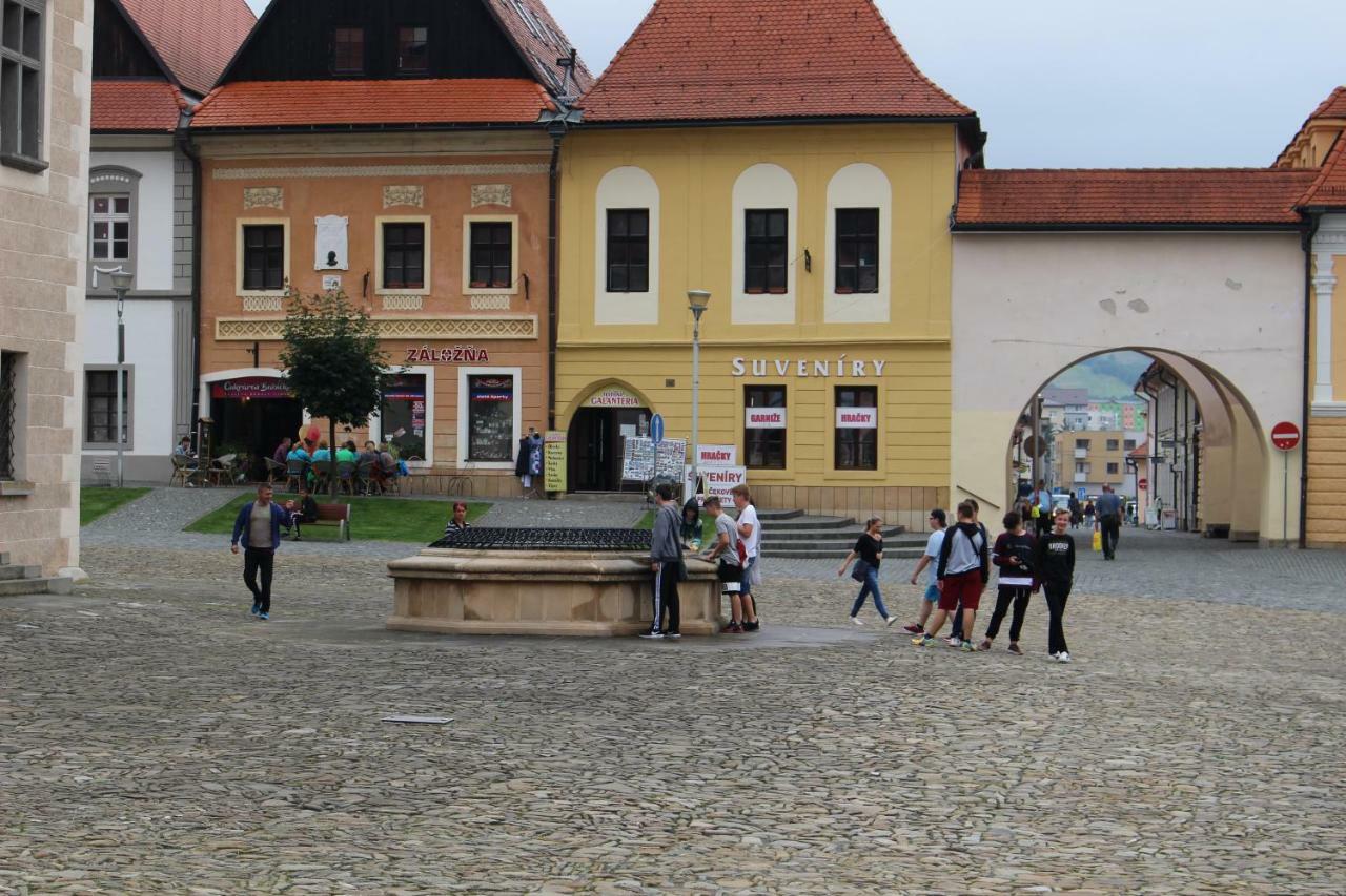 Apartman LEYLA Bardejov Bagian luar foto