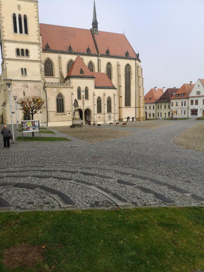 Apartman LEYLA Bardejov Bagian luar foto